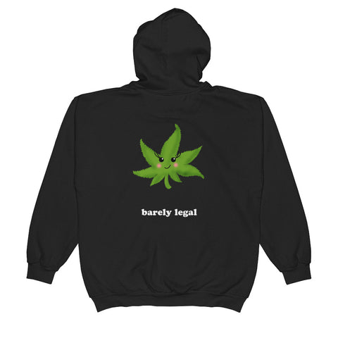 Unisex  Zip Hoodie